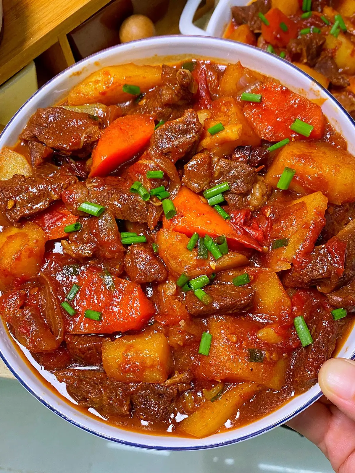 Beef stew with tomato, potato and carrot chunks in a wide bowl